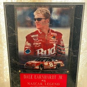 Dale Earnhardt Jr. Budweiser #8 NASCAR Framed Poster